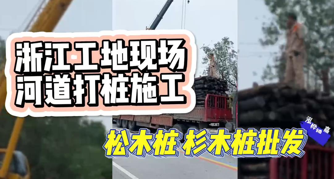 木樁廠(chǎng)家承接松木樁、杉木樁工地施工與批發(fā)視頻