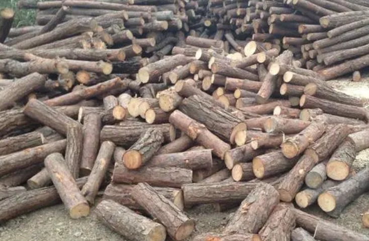 11月22日松木全國各地區行情報價(jià)