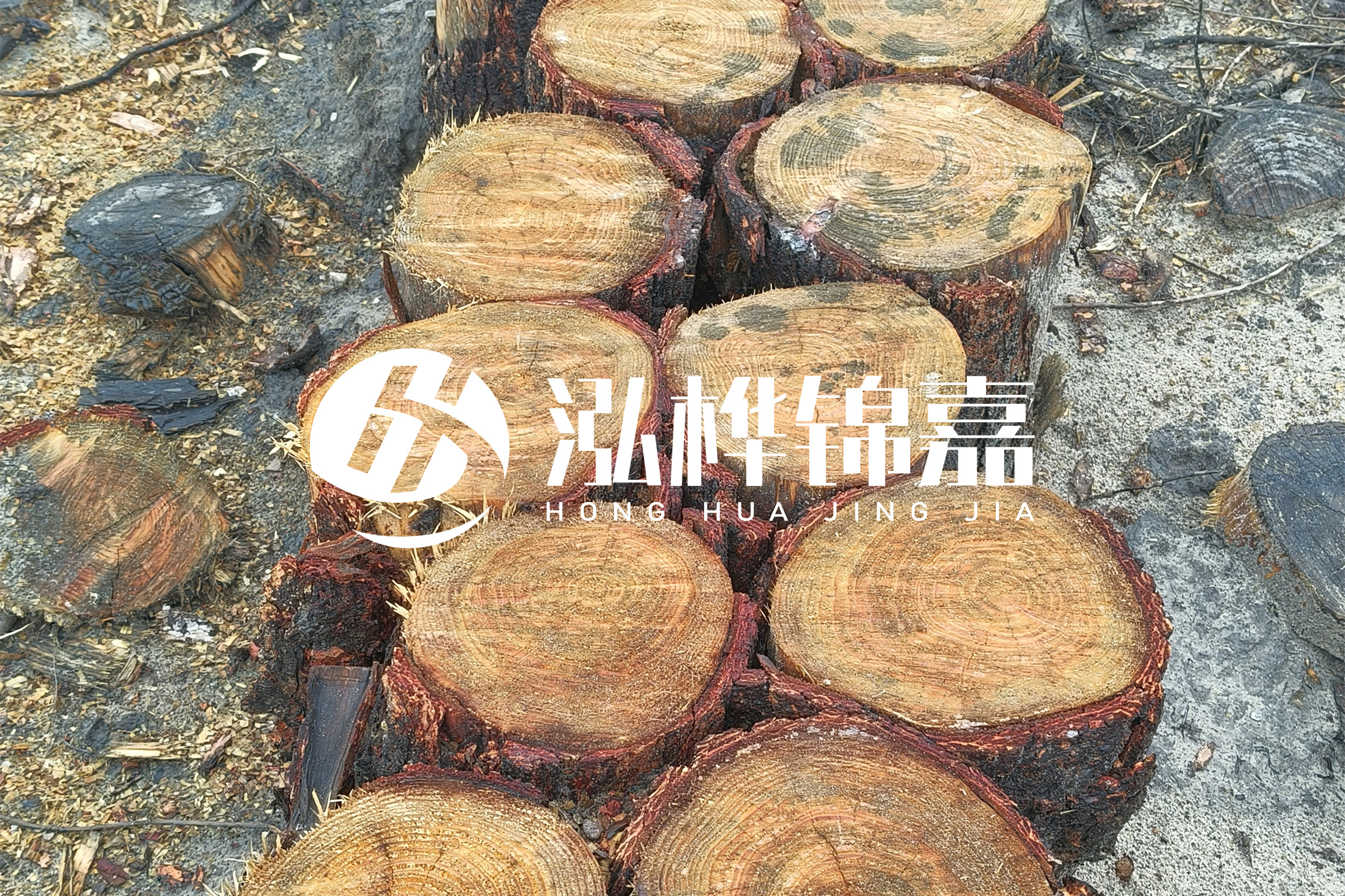 浙江臺州有清淤的公司嗎？浙江臺州有清淤施工隊嗎？