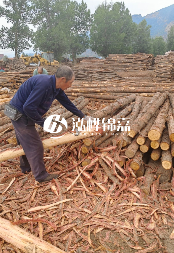 東營(yíng)河道清淤專(zhuān)業(yè)施工隊-不同型號挖機清淤能力對比？