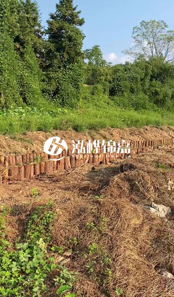 許昌河道清淤專(zhuān)業(yè)施工-河道污水治理要多長(cháng)時(shí)間？