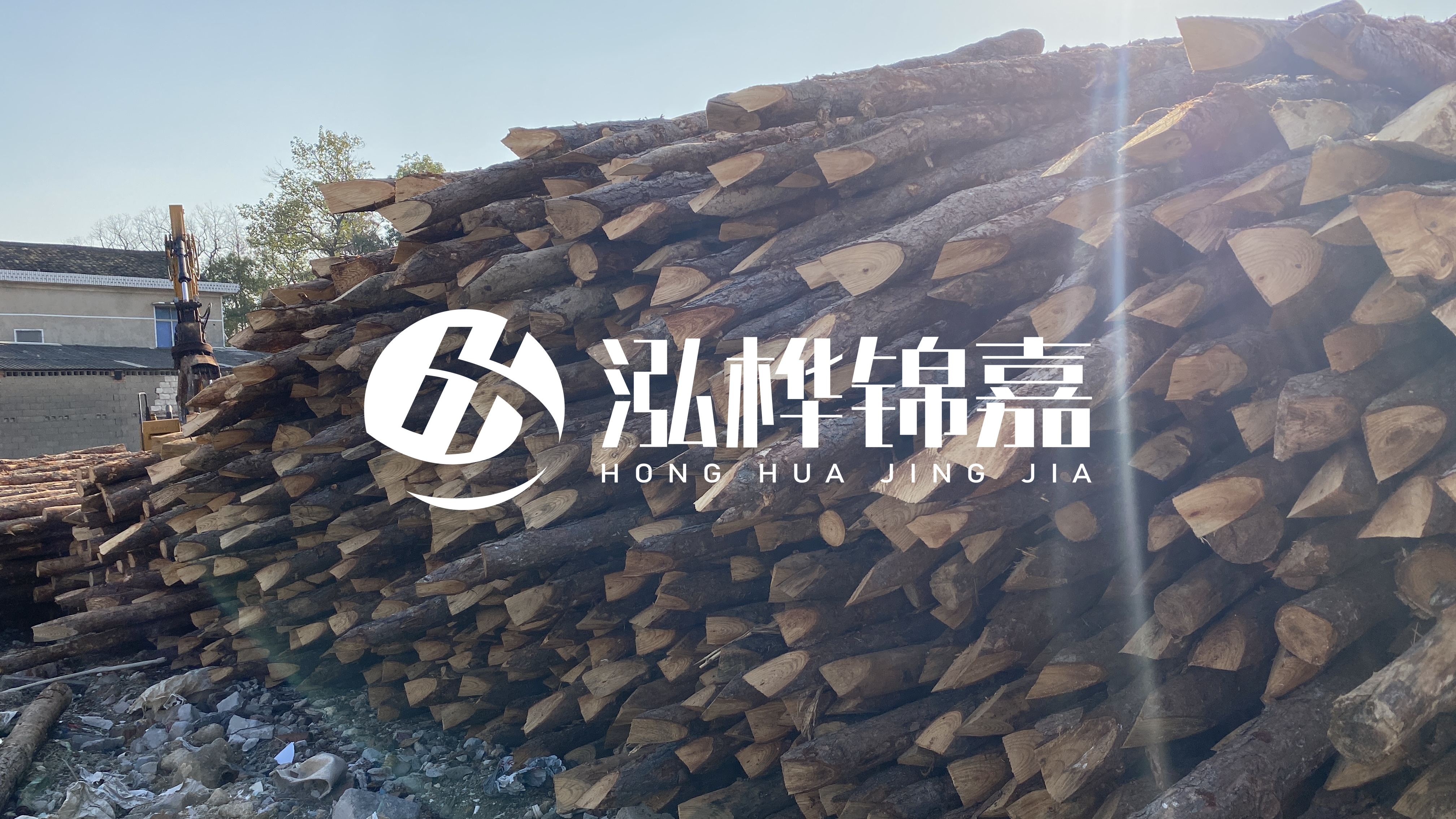 麗江松木樁源頭廠(chǎng)家-地基打松木樁的能撐幾年？