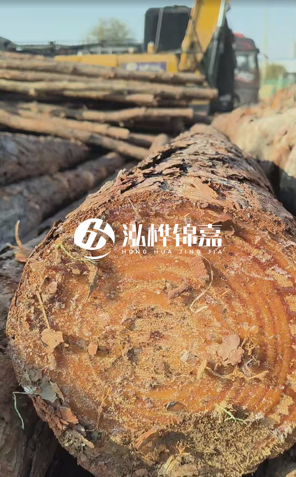 杉木樁價(jià)格多少錢(qián)一方-3米直徑14公分杉木樁價(jià)格？