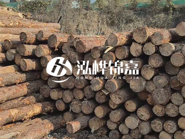 落葉松木材的主要產(chǎn)地在哪里？為什么比其他松木更耐腐蝕？