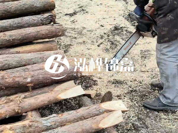 杉木樁批發(fā)廠(chǎng)家哪家好？產(chǎn)地直供渠道推薦！