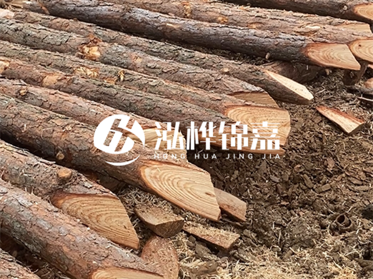 松木樁削尖的費用怎么算？按根收費還是包含在單價(jià)里？