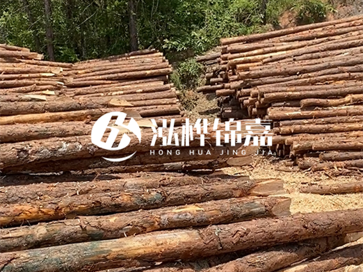 松木樁的運輸費用是否包含卸車(chē)費？卸貨時(shí)需要注意哪些安全問(wèn)題？