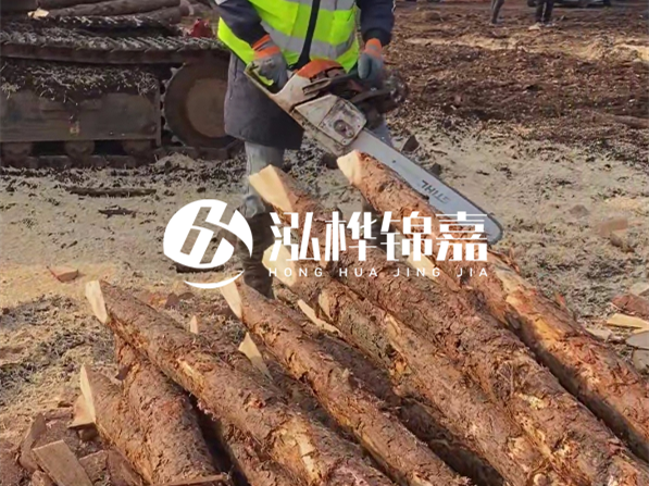 松木樁河道護坡怎么施工？打樁多少錢(qián)一根？
