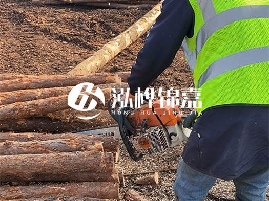 河道打木樁多少錢(qián)一根？5米直徑10松木樁打樁多少錢(qián)？