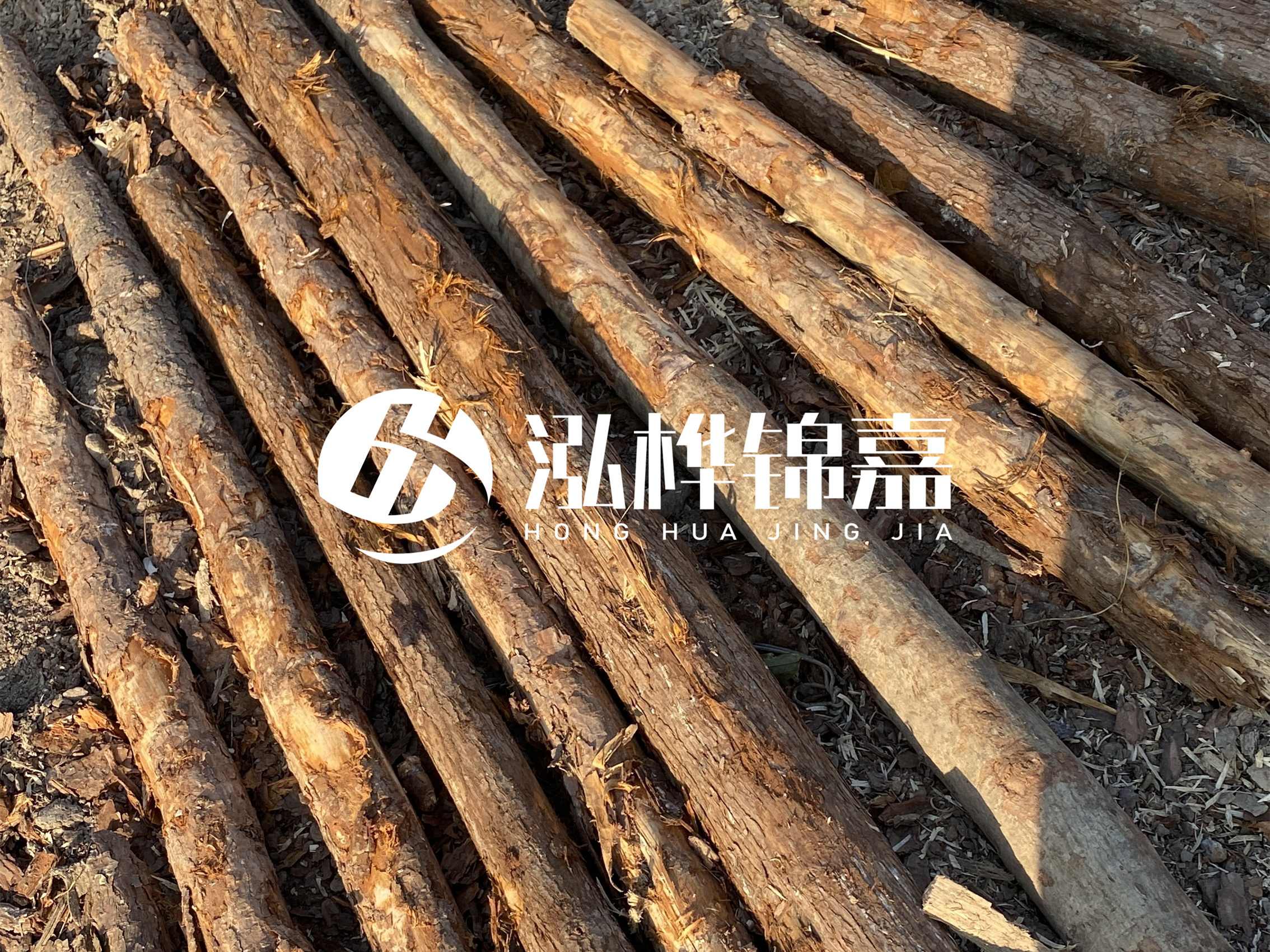 河道木樁多少錢(qián)一根？河道木樁的使用以及保養方法?