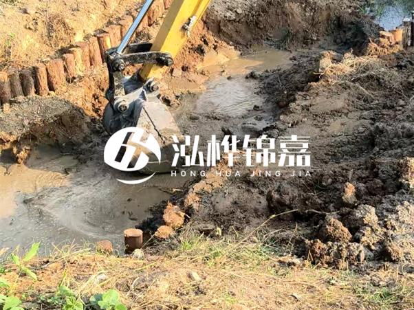 廣東松木樁批發(fā)廠(chǎng)家 - 3 米小頭 8CM 松木樁多少錢(qián)？