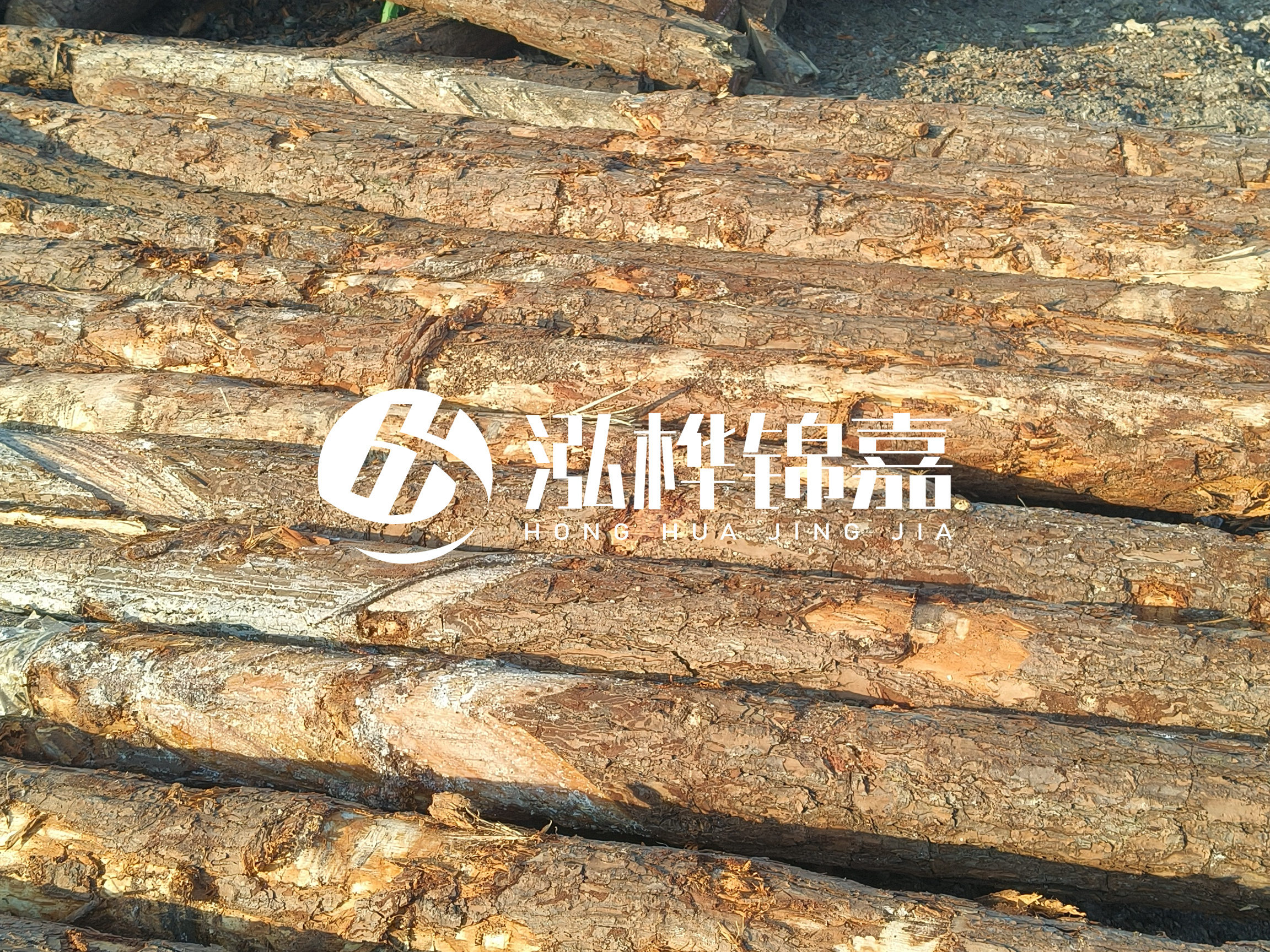 河道木樁的含水率過(guò)高會(huì )有什么問(wèn)題？怎么檢查松木樁含水率？