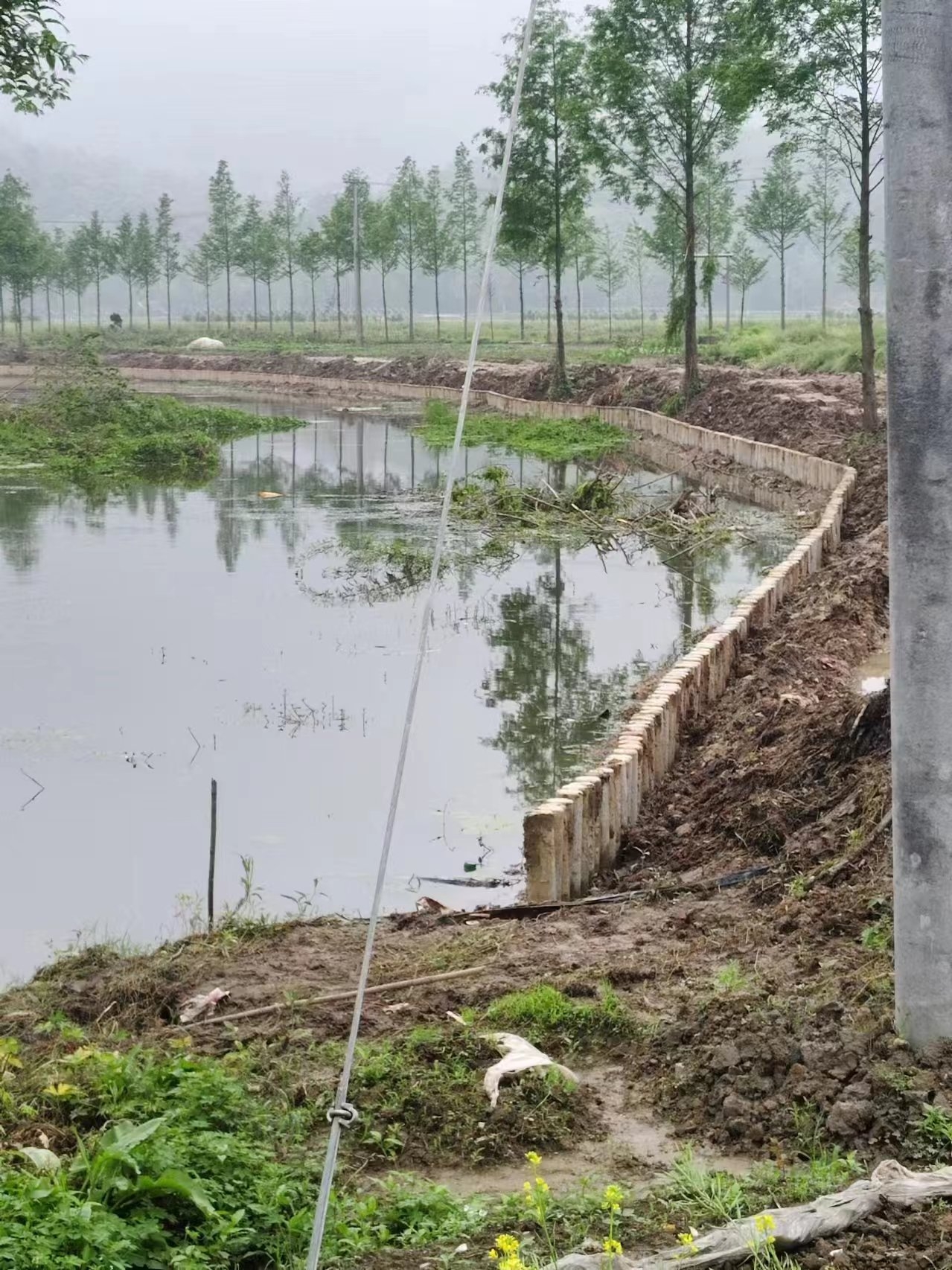 湖南水泥樁施工隊泓樺錦嘉-打水泥樁需要注意哪些事項？