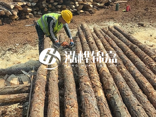 松木樁批發(fā)廠(chǎng)家泓樺錦嘉-河道打樁木施工中怎么防止樁頭被打壞？