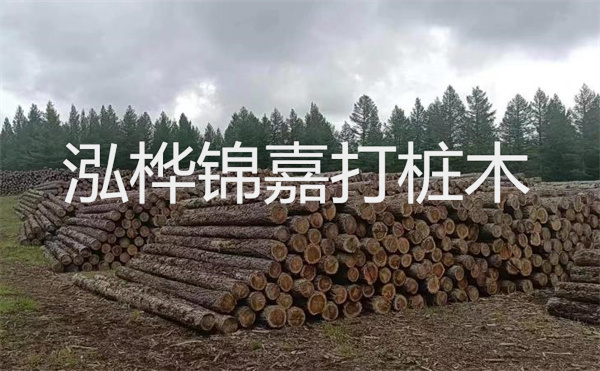 松木樁施工江門(mén)招聘電話(huà)