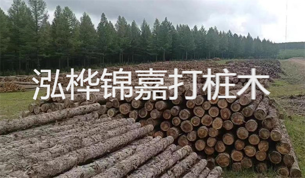 選用打松木樁施工隊 專(zhuān)注打造穩固基礎