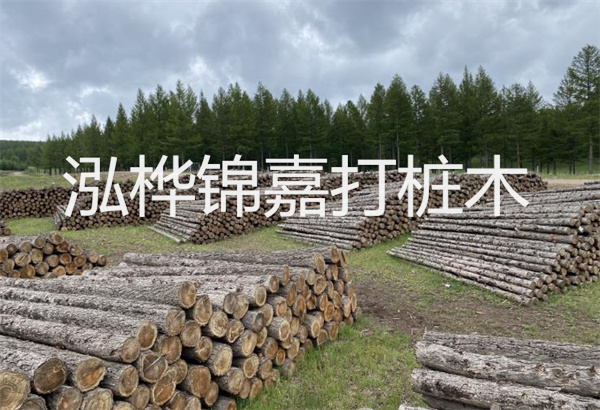 預制松木樁施工工藝：優(yōu)質(zhì)材料，高效快速，堅固耐用