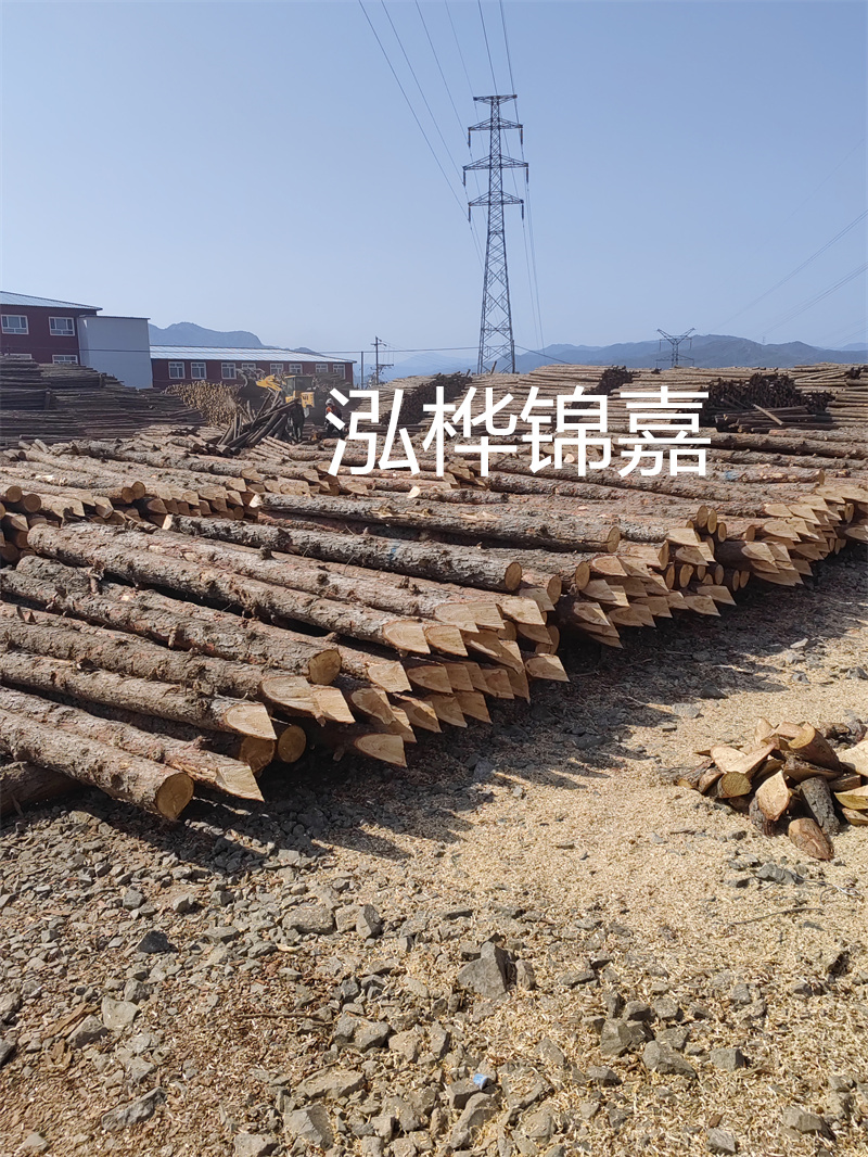 深入了解松木樁基礎施工單價(jià)，助力工程建設順利進(jìn)行！