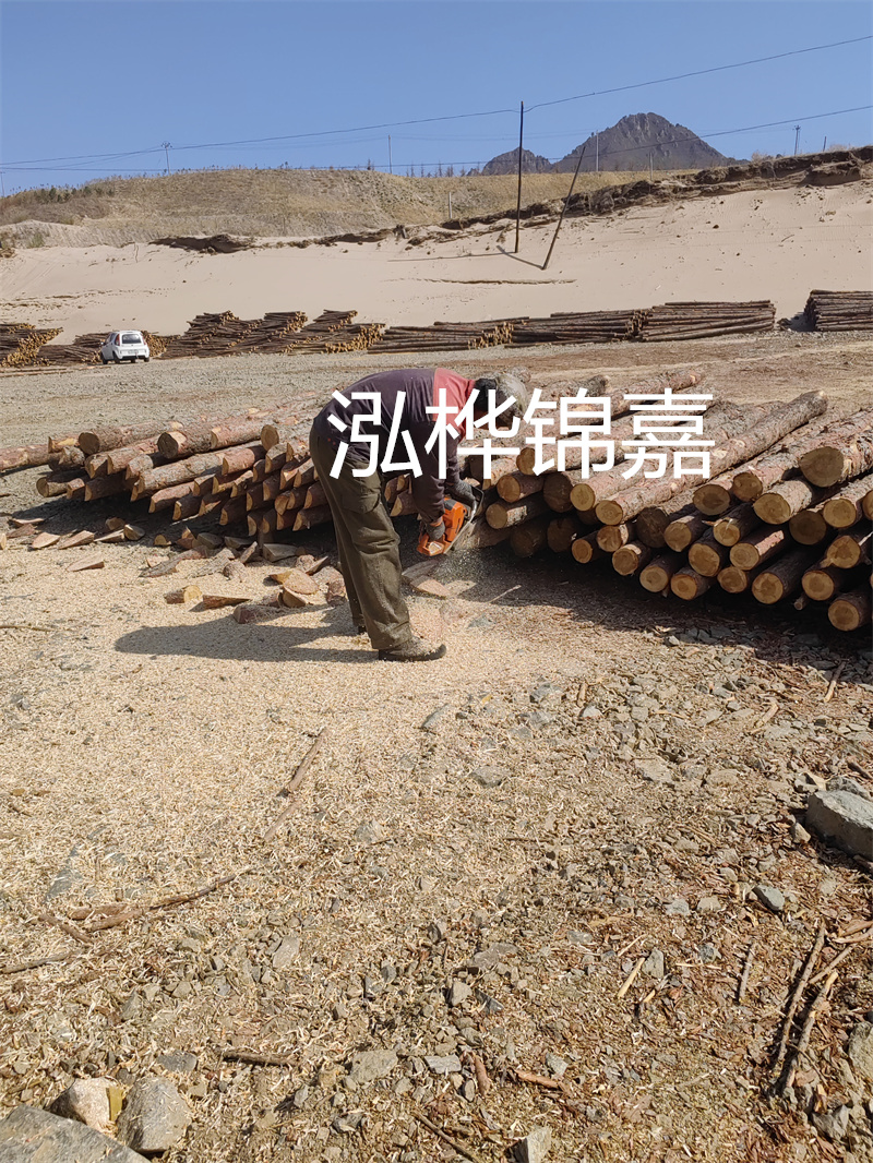 松木樁駁岸施工，打造水上風(fēng)景線(xiàn)