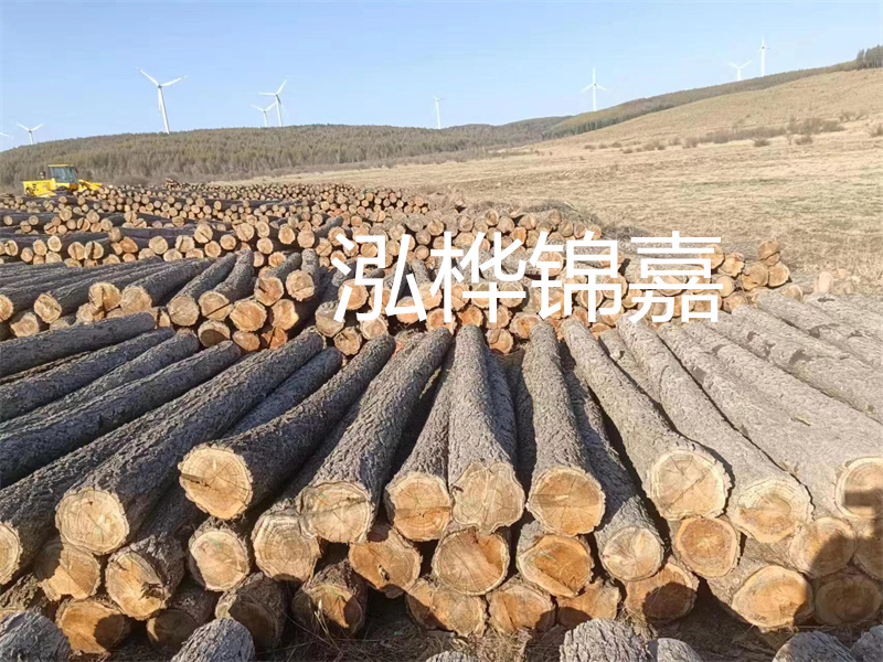 選擇6m松木樁施工，穩固地打造您的工程基礎
