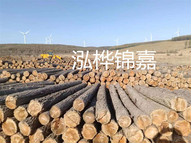 溫州松木樁施工廠(chǎng)家——為您打造堅固穩定的建筑基礎！