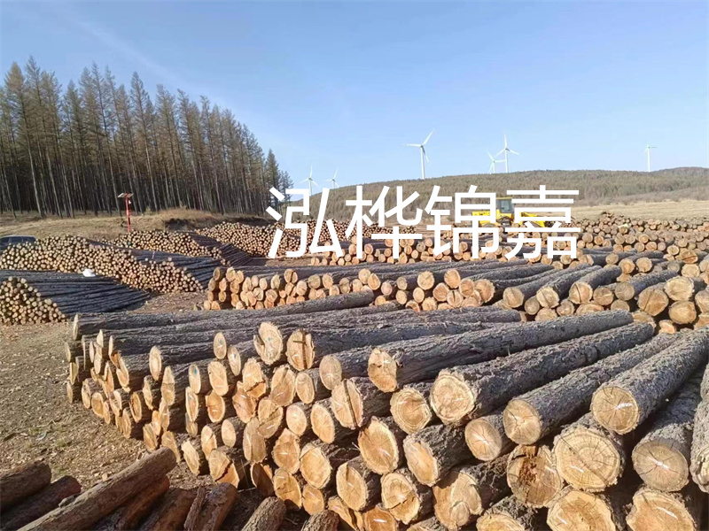 用路基松木樁施工方案提升工程質(zhì)量描述：了解路基松木樁施工方案的重要性，提高工程質(zhì)量關(guān)鍵詞：路基松木樁，施工方案，工程質(zhì)量