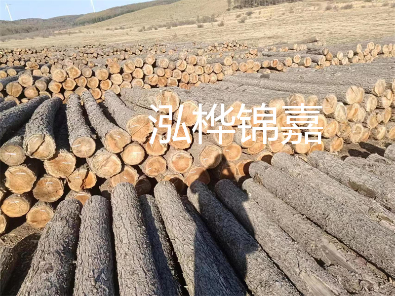 鹽城松木樁河道圍堰施工，保護生態(tài)環(huán)境，打造美麗城市